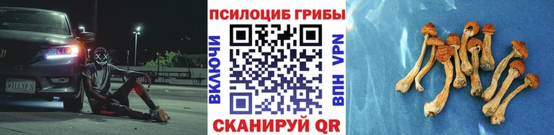 Псилоцибиновые грибы Psilocybe Купить где Невельск